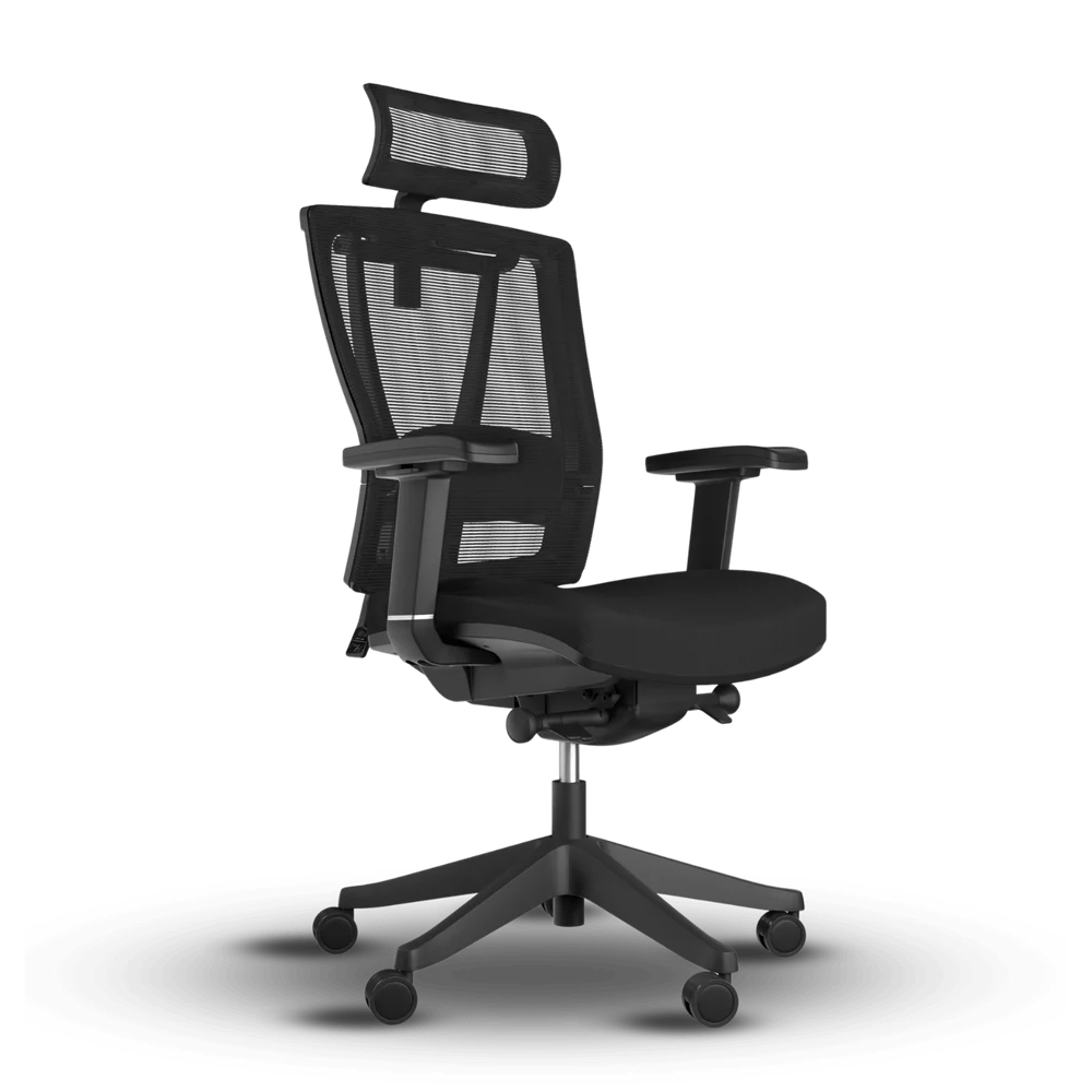 Oz Ergonomic Chair