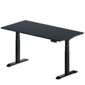 Oz Standing Desk (Overstock)