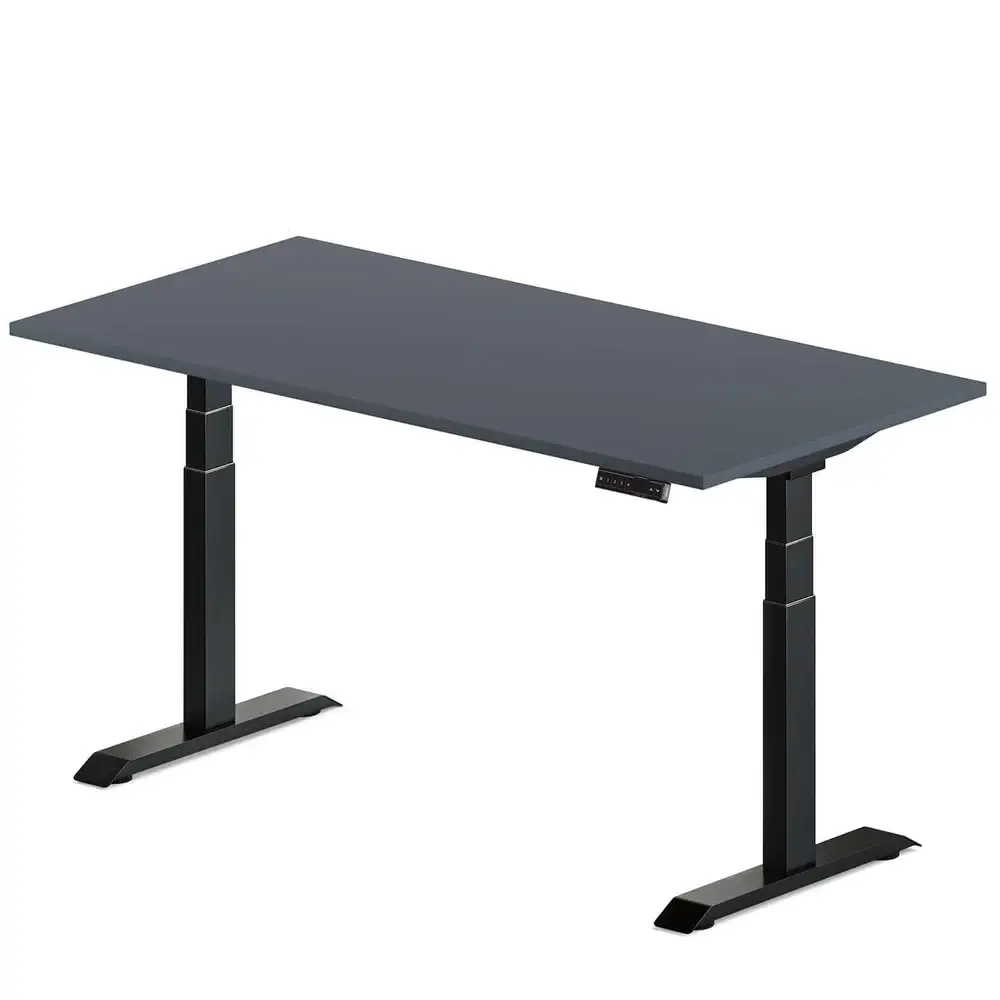 Oz Standing Desk (Overstock)