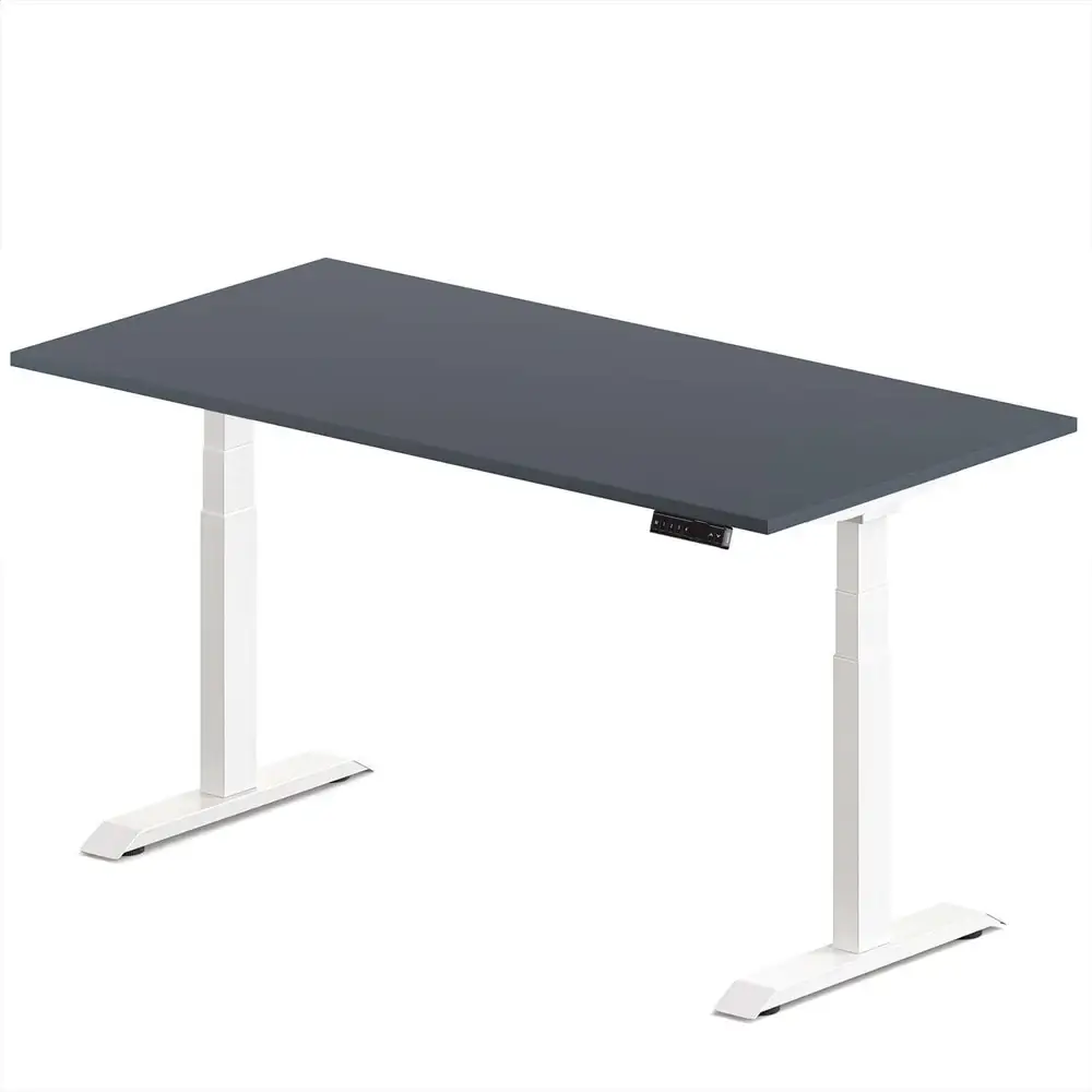 Oz Standing Desk (Overstock)