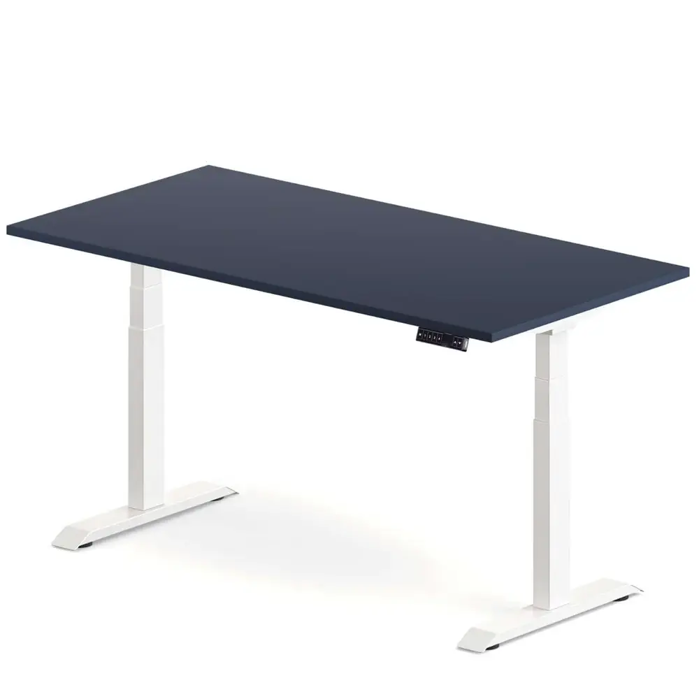 Oz Standing Desk (Overstock)